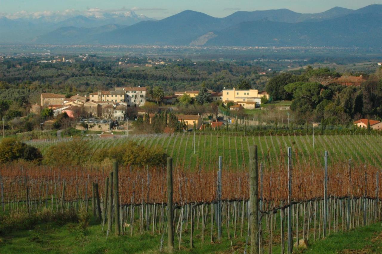 Apartamento Ciglieri Santermo Casciana Terme Lari Pet&Bike Friendly Free Park Exterior foto